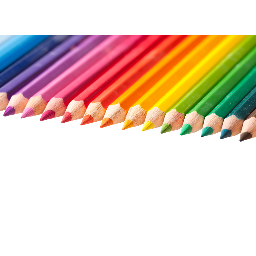 Pencil Colour Transparent Clipart