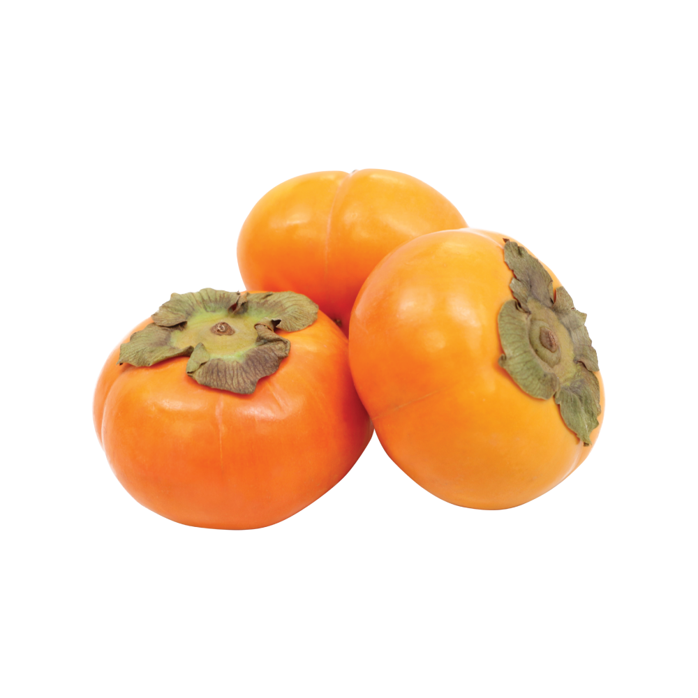 Persimmons  Transparent Gallery