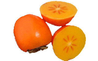 Persimmons PNG