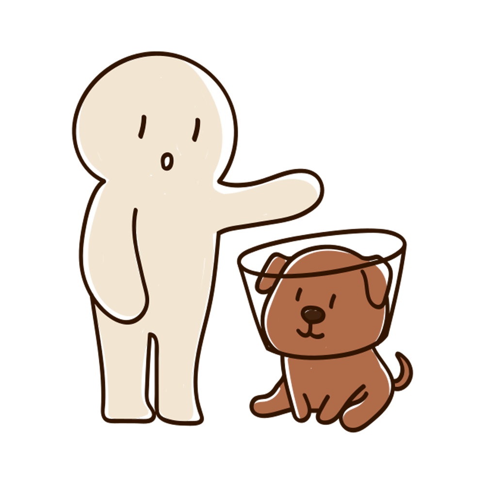 Pet Care Sticker Transparent Photo