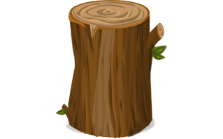 Pic Tree Trunk PNG