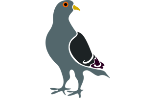 Pigeon Sticker PNG