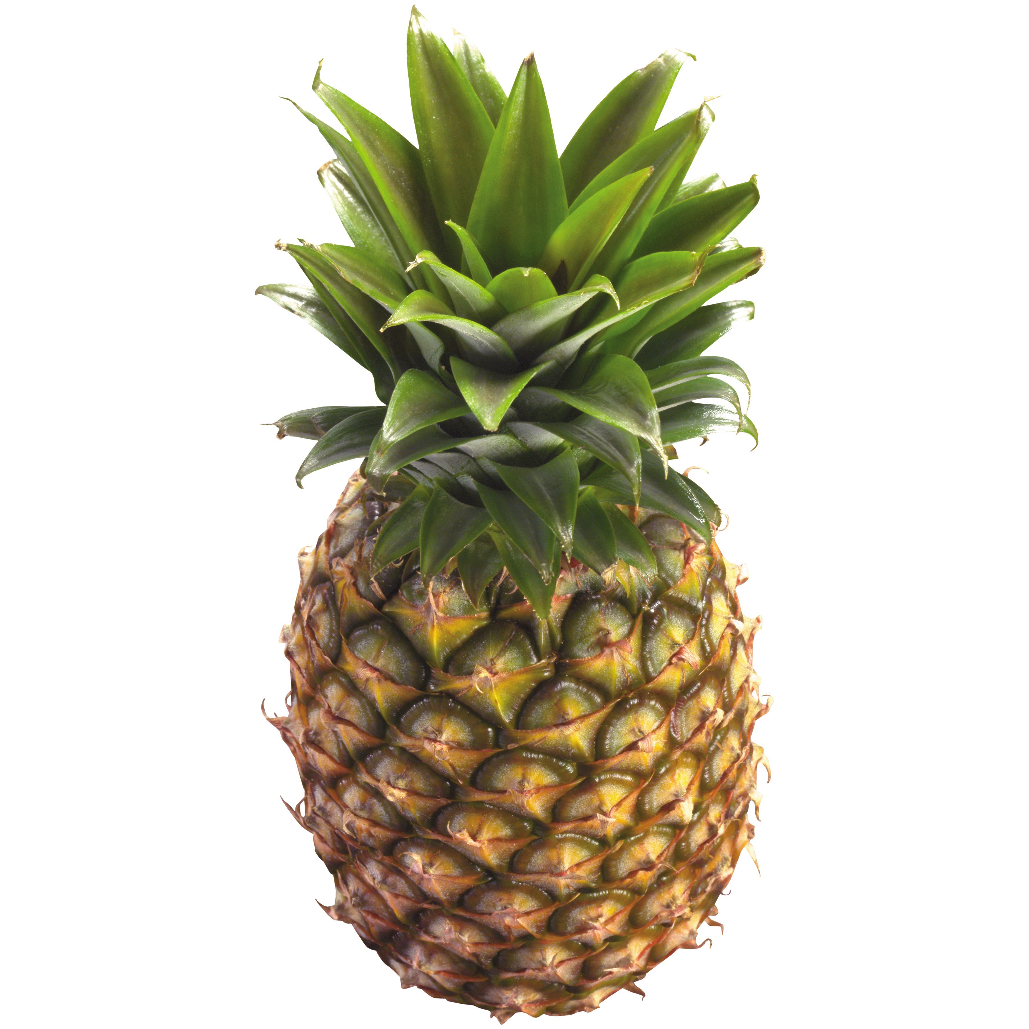 Pineapple Transparent Photo