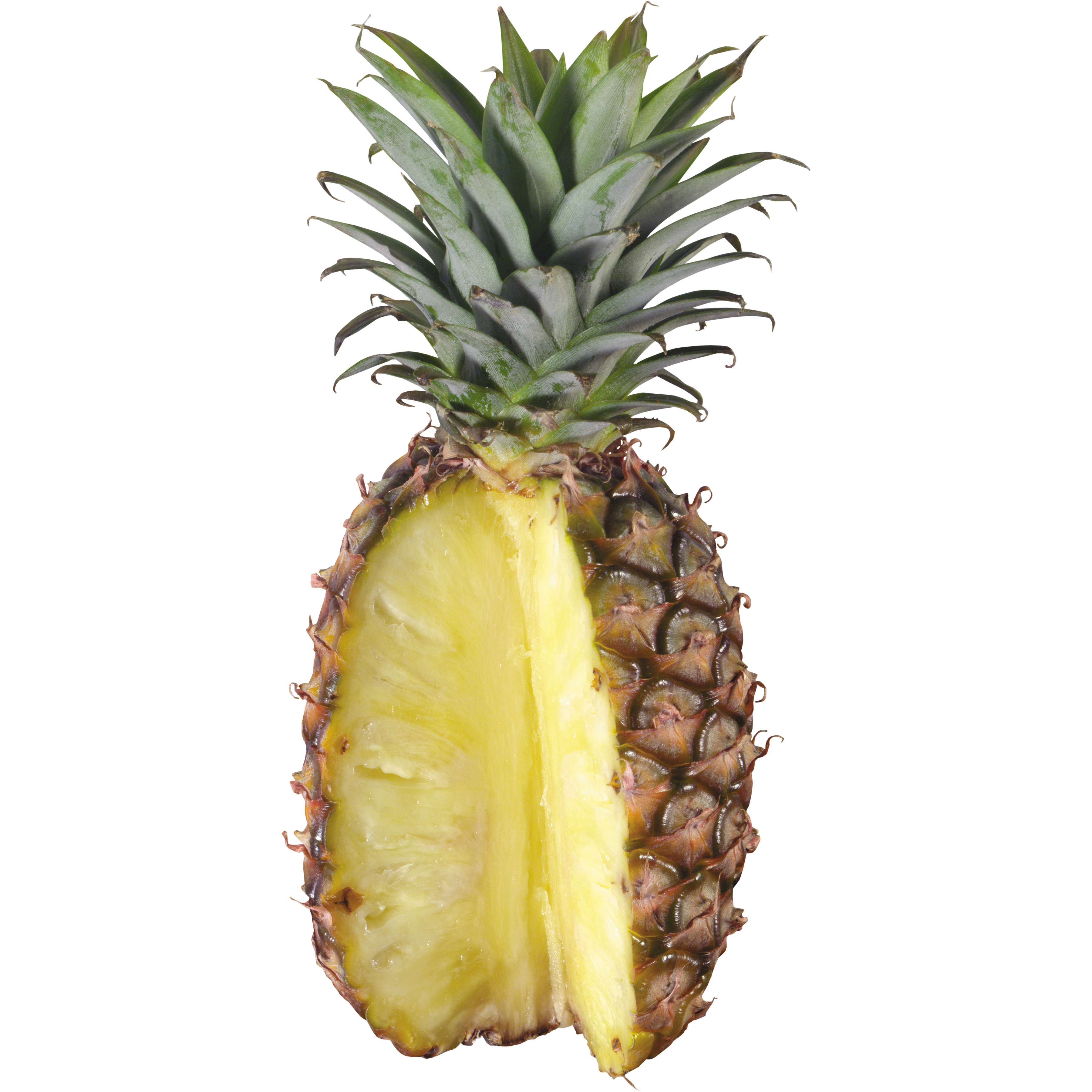 Pineapple Transparent Clipart