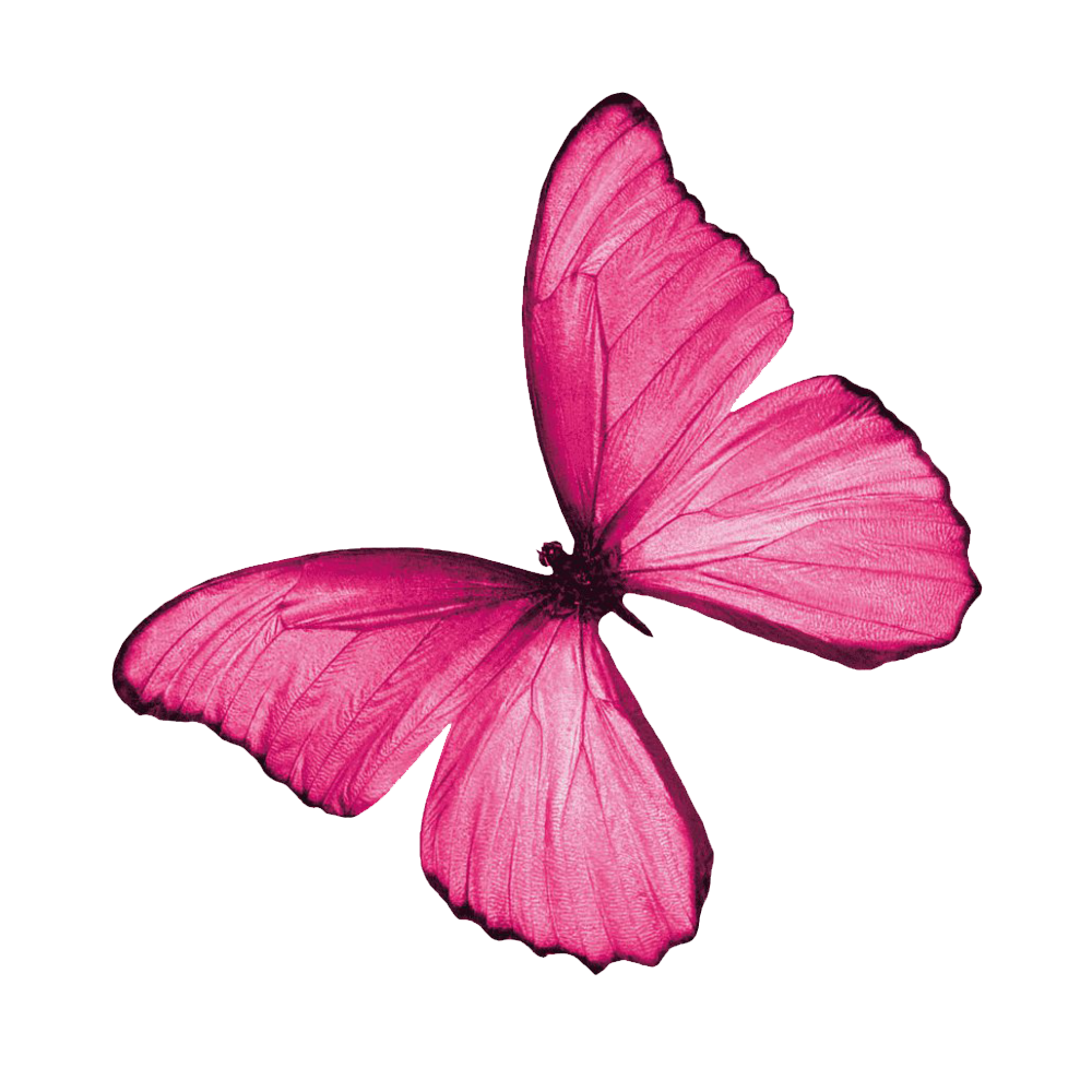 Pink Butterfly Transparent Photo
