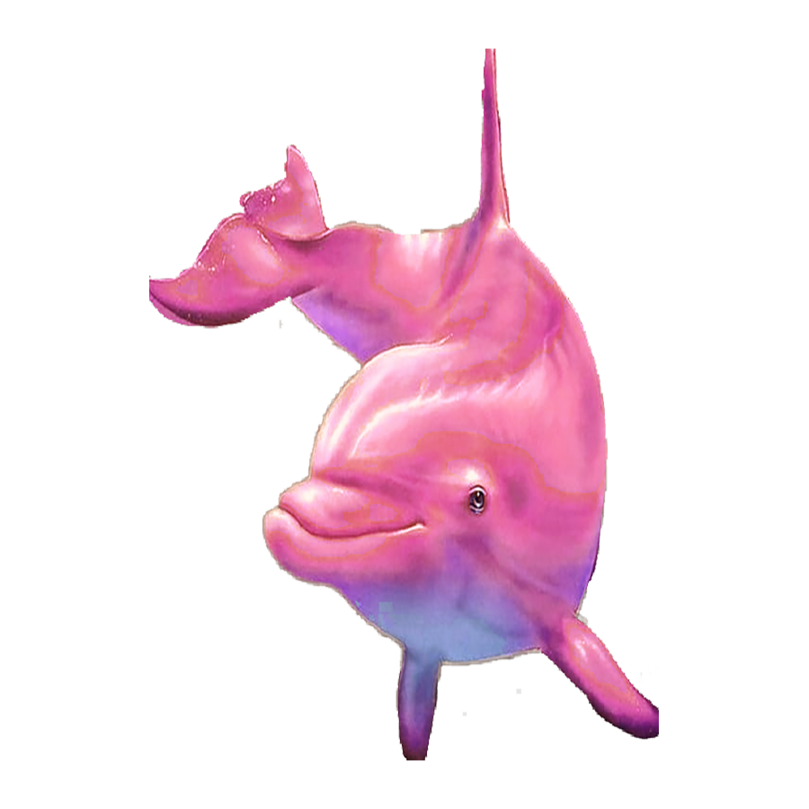 Pink Dolphin Transparent Photo