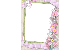 Pink Flower Frame PNG