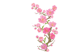 Pink Flower PNG