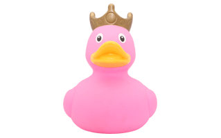 Pink Rubber Duck PNG