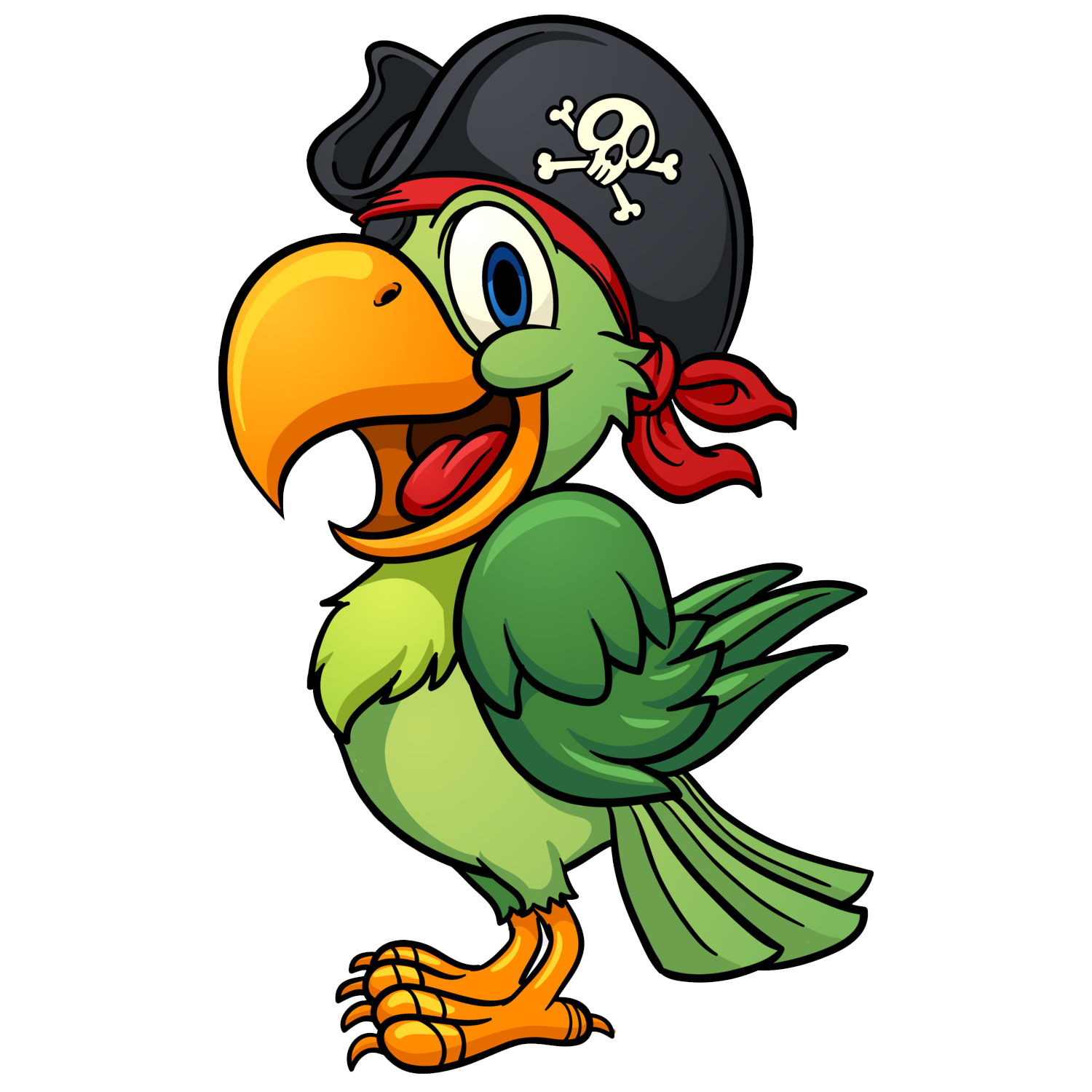 Pirate Parrot Transparent Picture