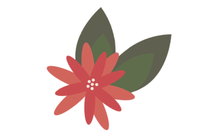 Poinsettia Sticker PNG