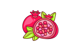 Pomegranate Free Sticker PNG