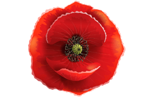 Poppie PNG