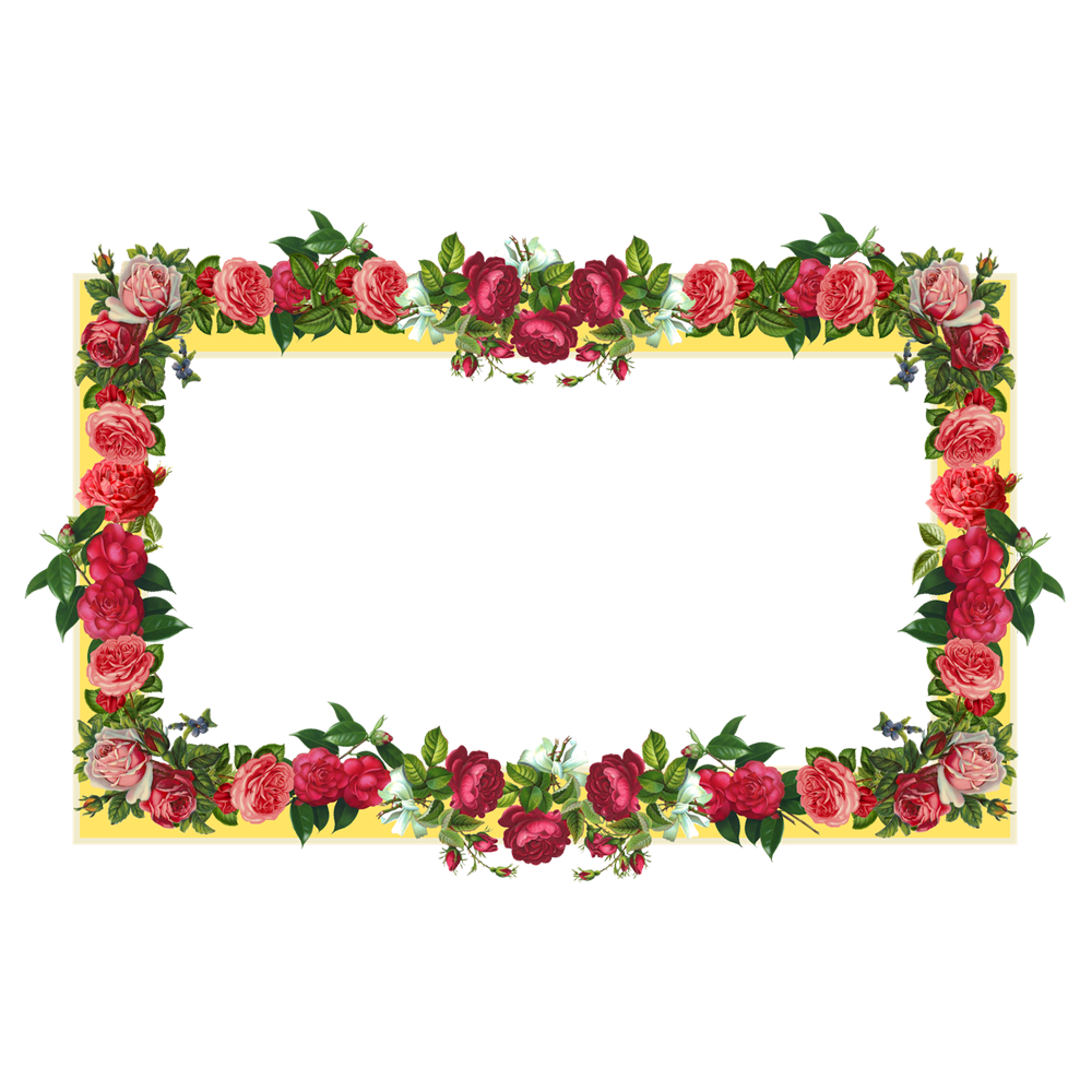 Poppy Flower Frame Transparent Picture
