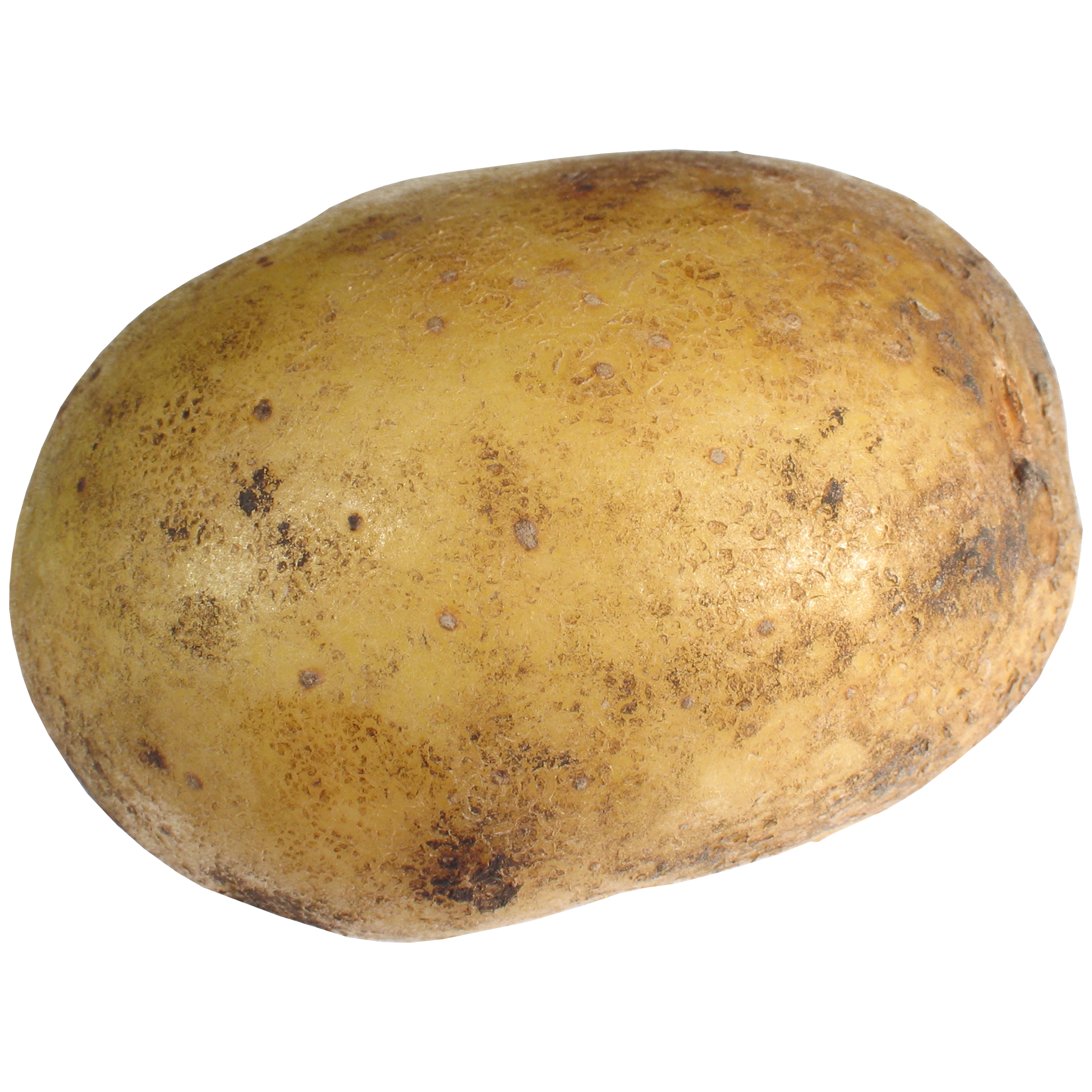 Potato Transparent Image