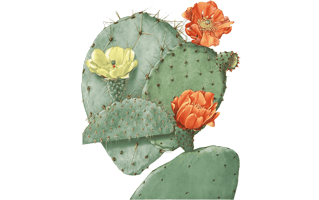 Prickly Pear PNG