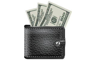 Purse Money PNG