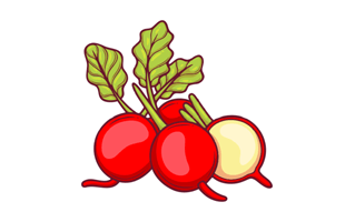 Radish Sticker PNG