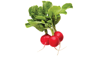 Radishes PNG