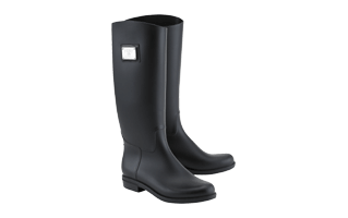 Rain Boot PNG