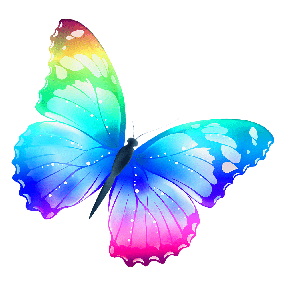 Rainbow Butterfly Transparent Picture