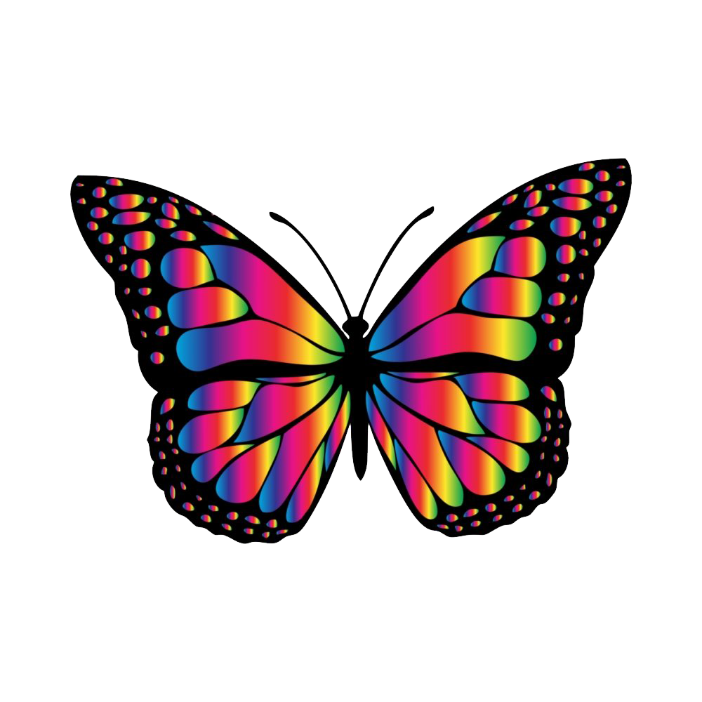 Rainbow Butterfly Transparent Clipart