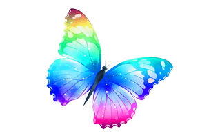 Rainbow Butterfly PNG