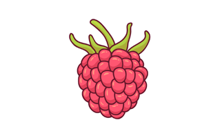 Raspberries Sticker PNG