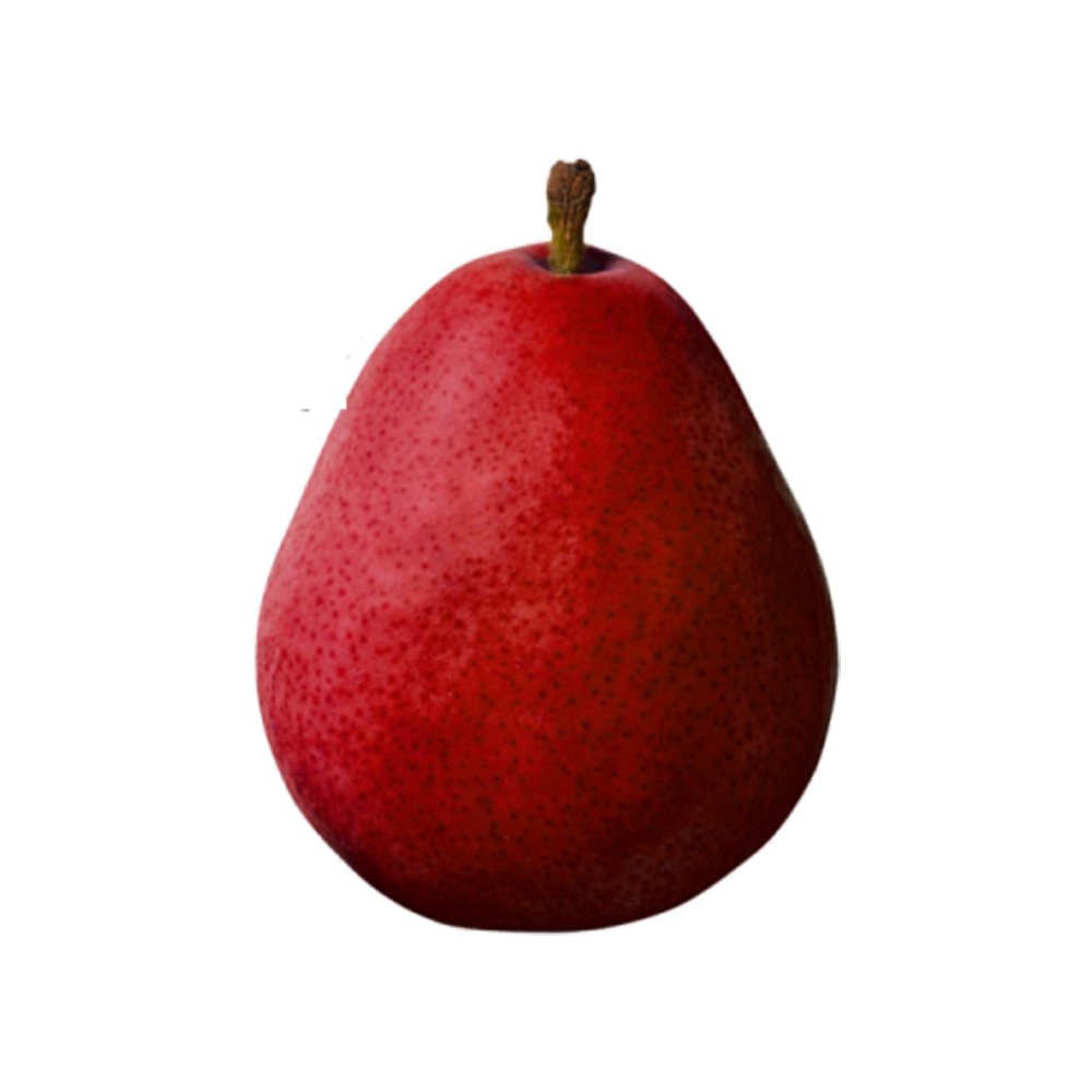 Red Anjou Pears  Transparent Gallery