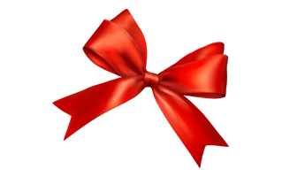 Red Bow PNG