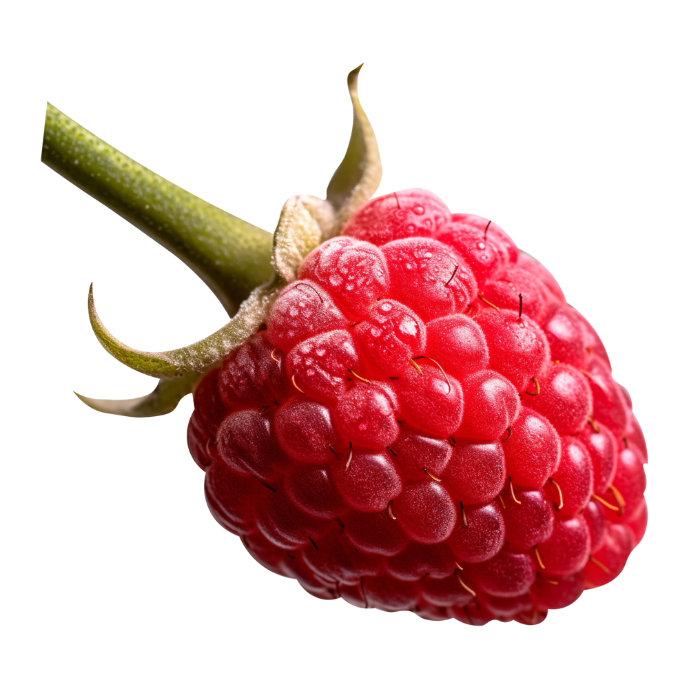 Red Boysenberry Transparent Picture