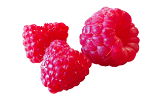 Red Boysenberry PNG