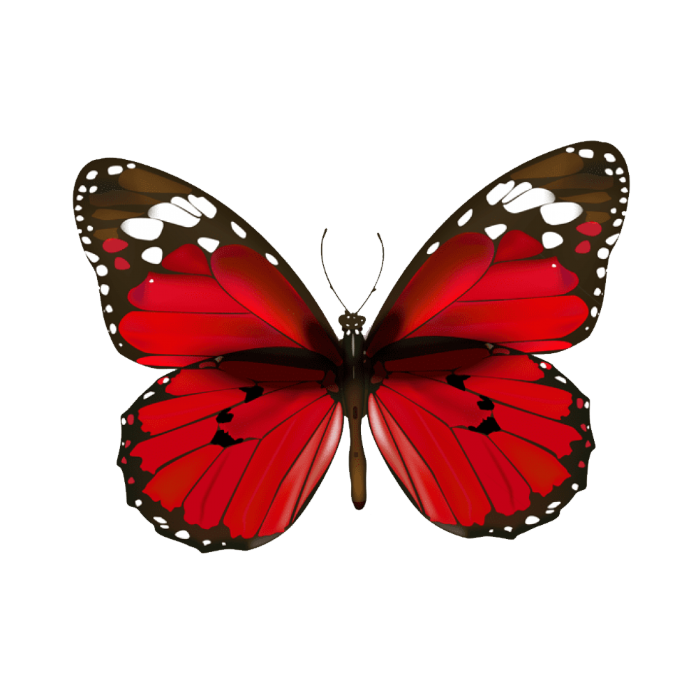 Red Butterfly Transparent Image