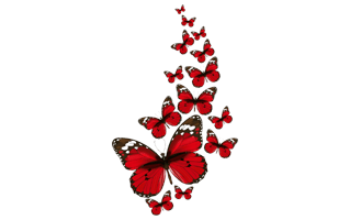 Red Butterfly PNG