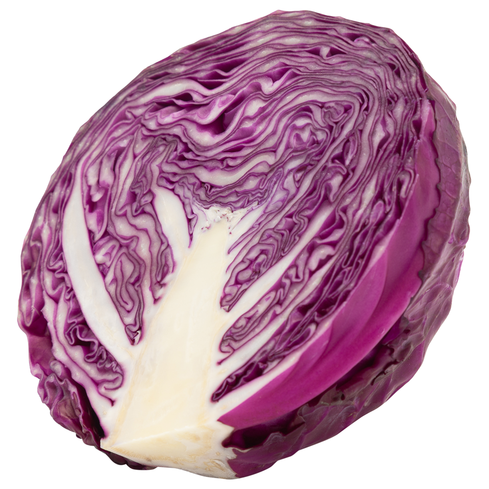 Red Cabbage  Transparent Gallery