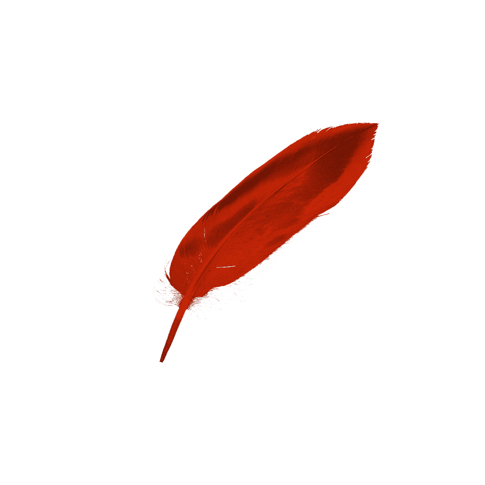 Red Feather Transparent Clipart
