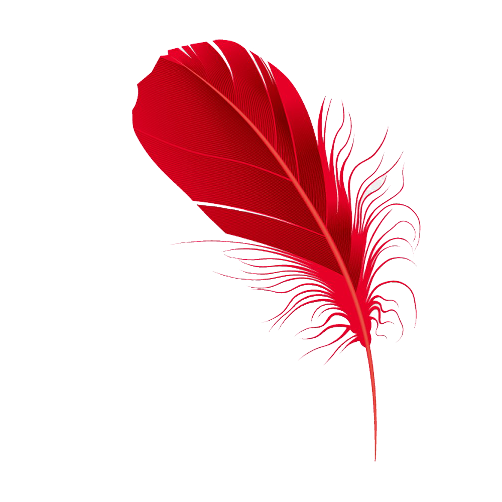 Red Feather Transparent Gallery