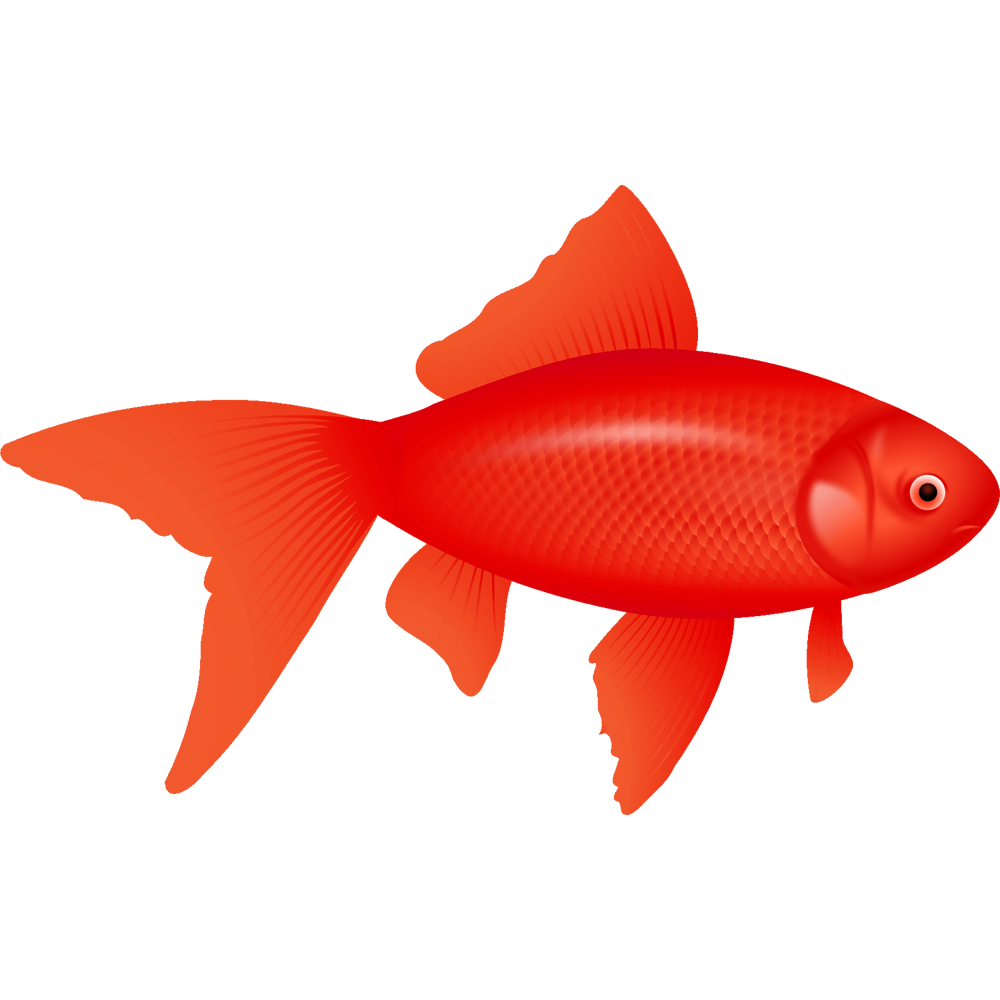 Red Fish Transparent Image