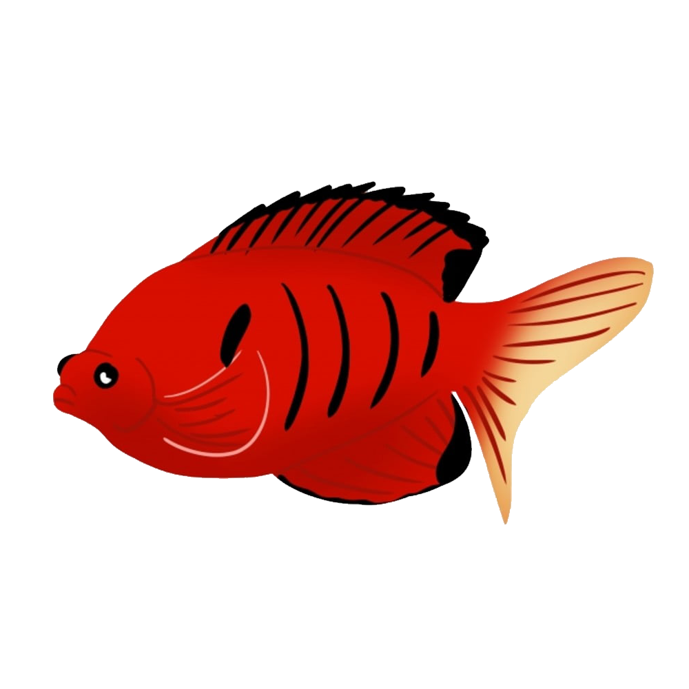 Red Fish Transparent Clipart