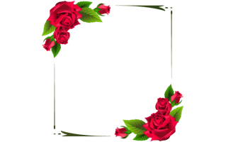 Red Flower Frame PNG