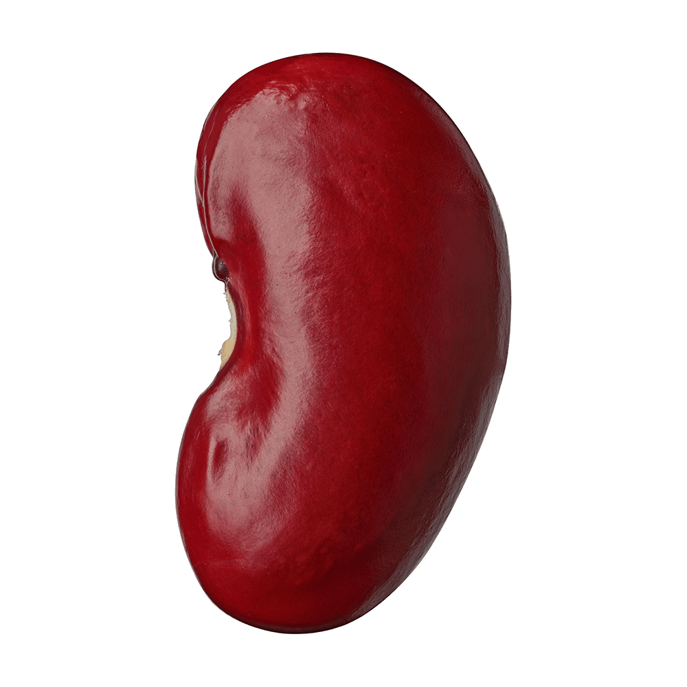 Red Kidney Beans  Transparent Image