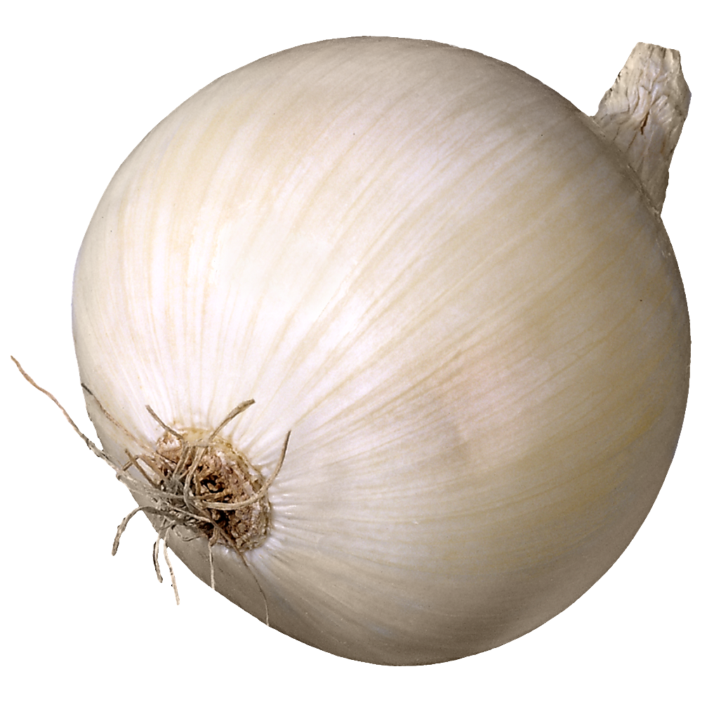 Red Onion Transparent Clipart
