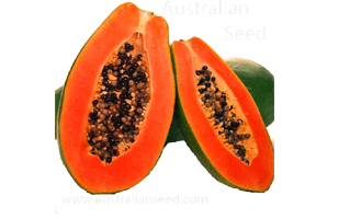 Red Papaya PNG