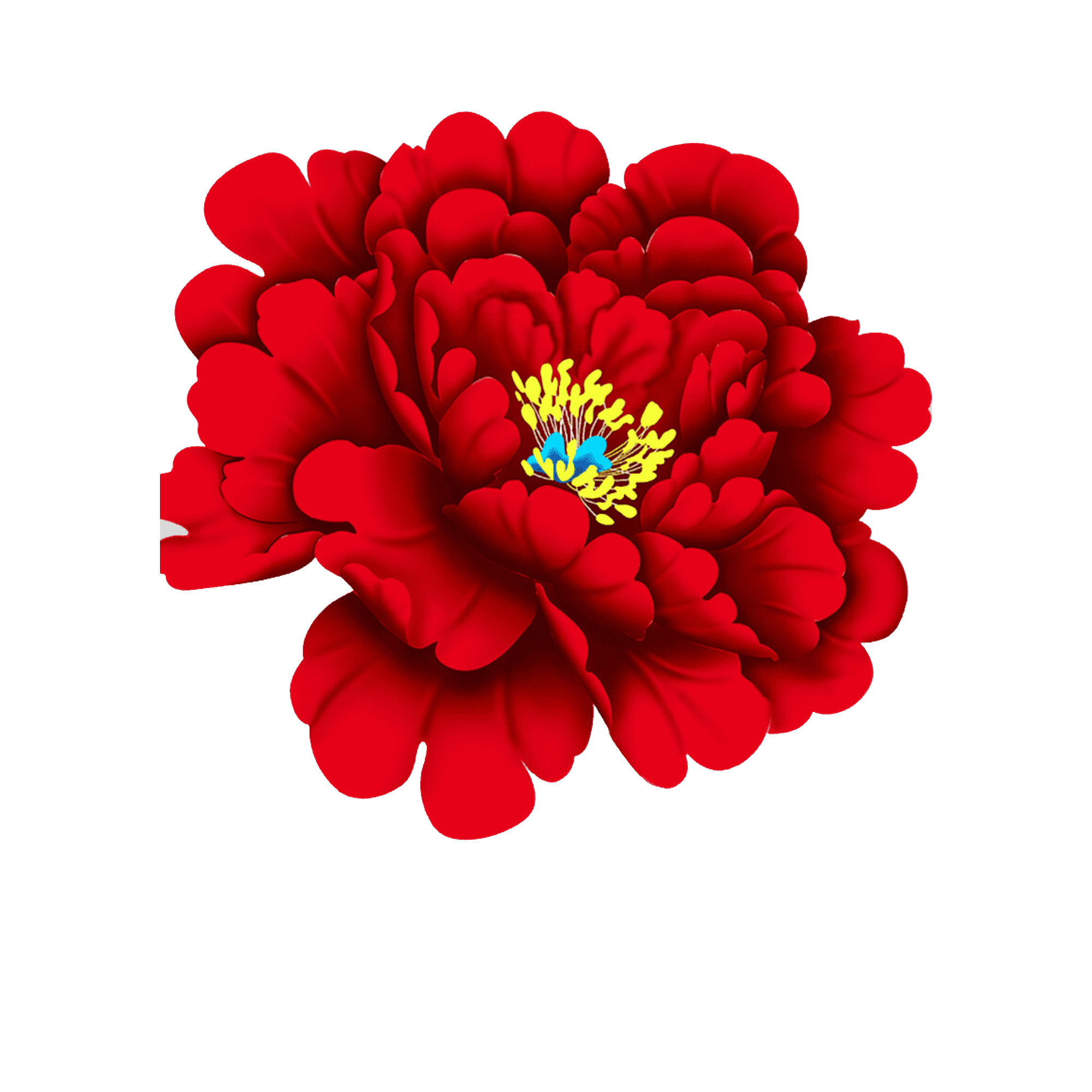Red Peony  Transparent Clipart