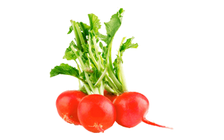 Red Radish PNG