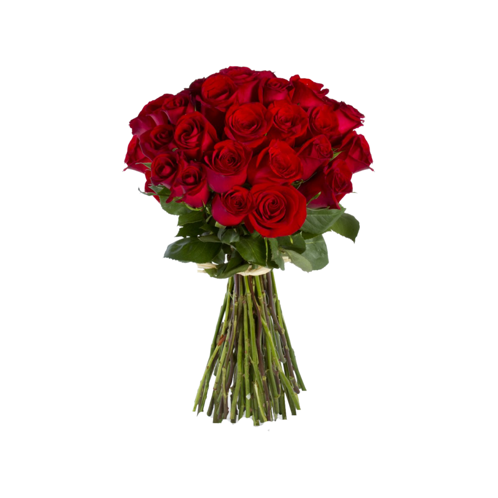 Red Rose Bokeh Transparent Image