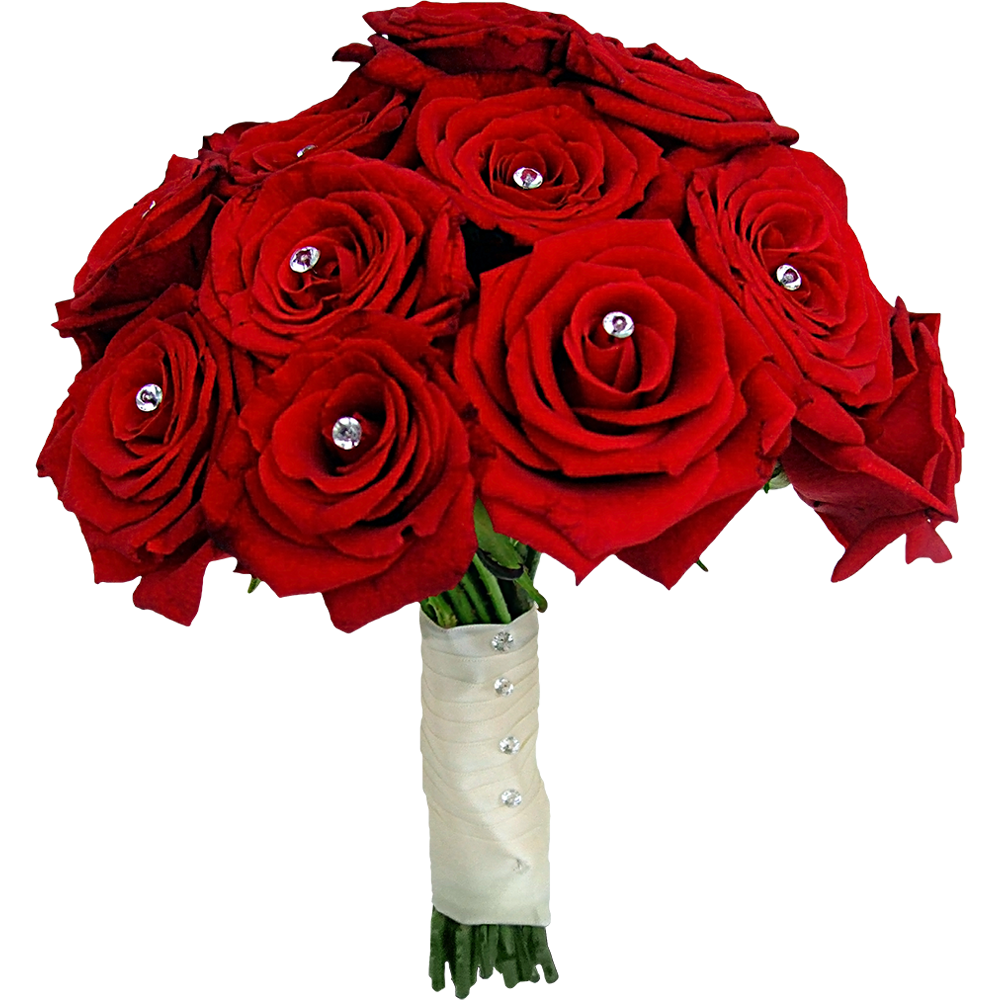 Red Rose Bokeh Transparent Photo