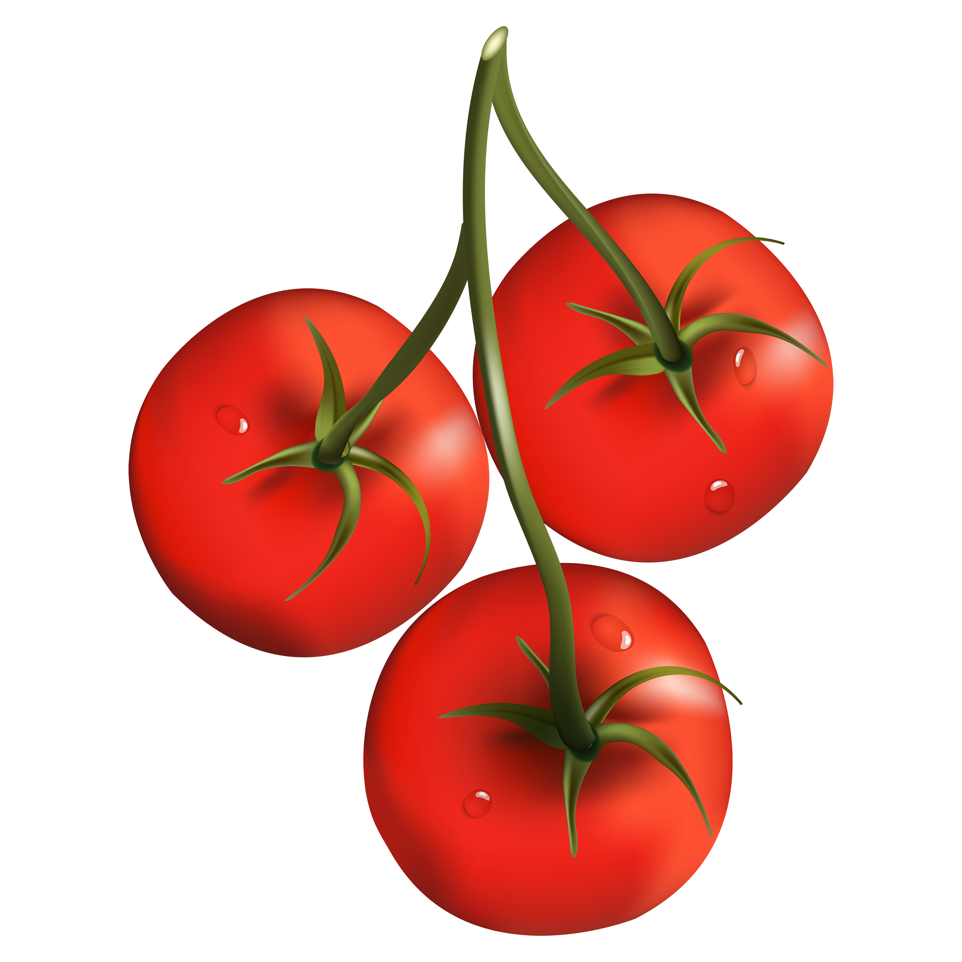Red Tomato Transparent Picture
