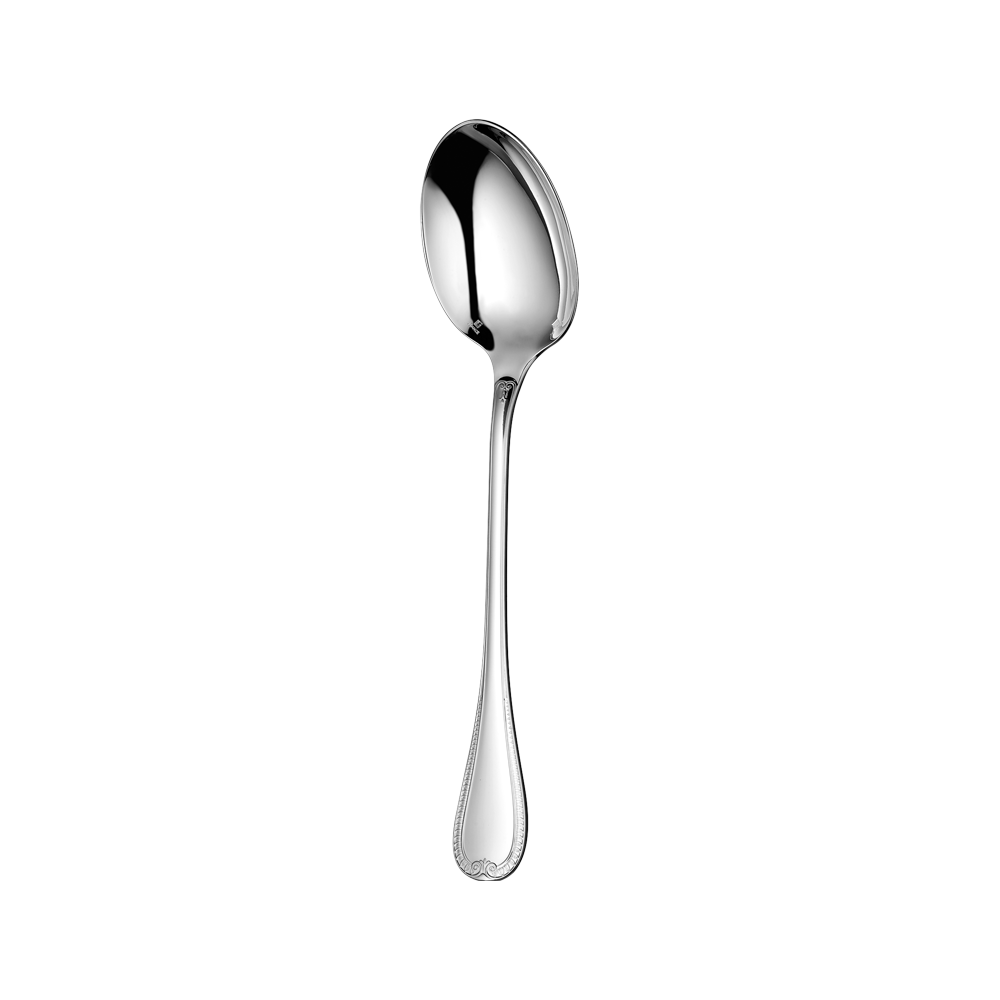 Regular Spoon  Transparent Photo