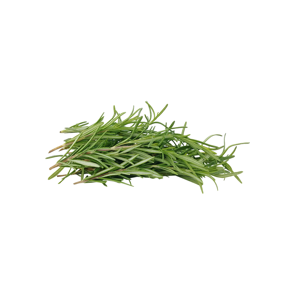 Rosemary Transparent Picture